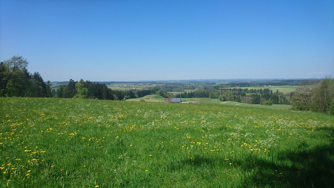 Landschaft bei Beuren