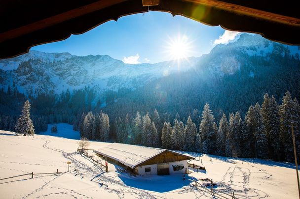 Vilser Alm