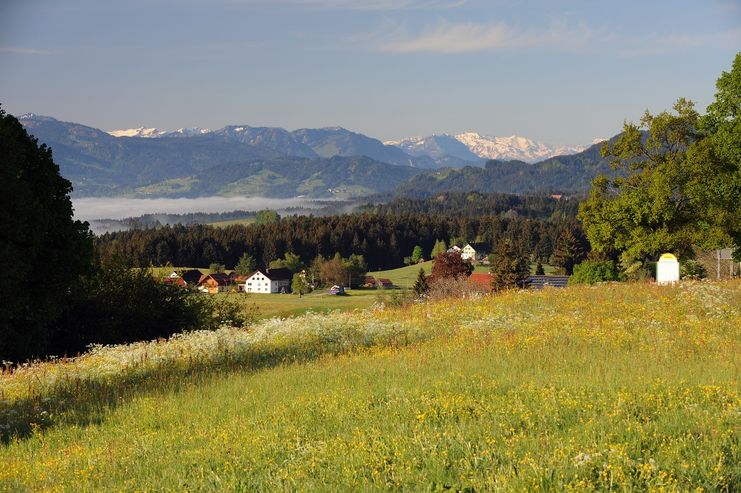 Aussicht auf die Nagelfluhkette