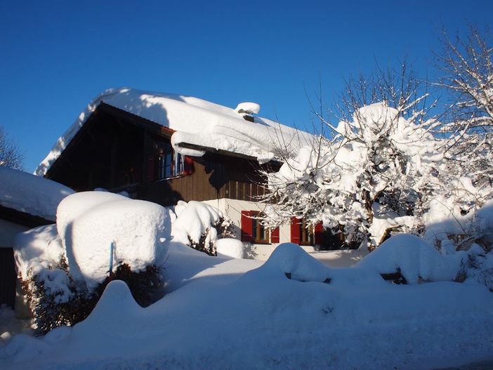 Winterschönheit