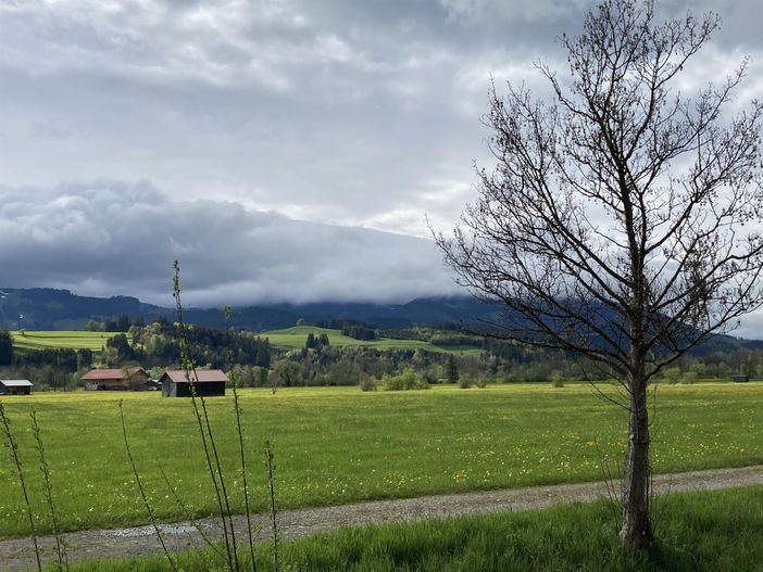 Frühlingsstimmung