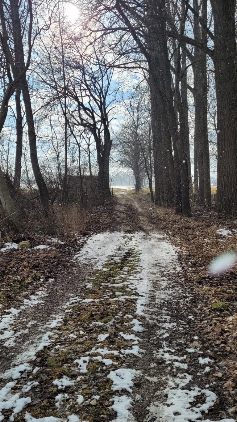 Stadtwaldrunde in Buchloe