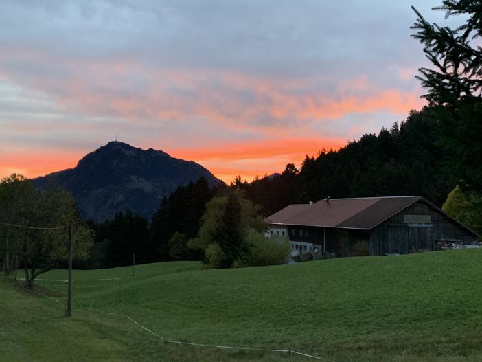 Aussicht am Morgen vom Balkon