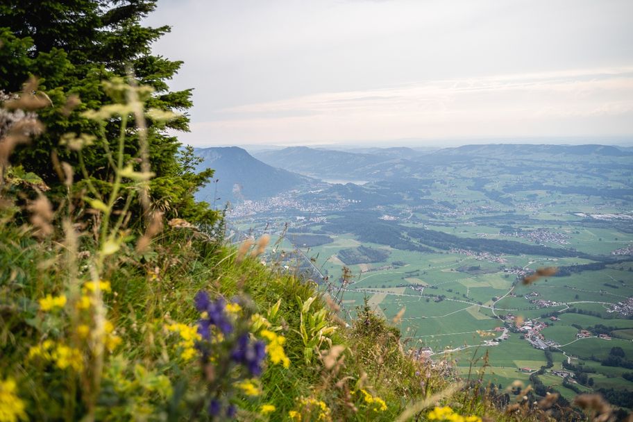 Fotograf: Philipp Angerhofer