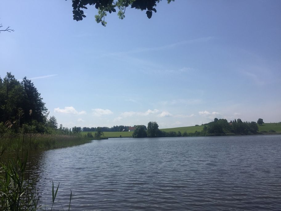 Neuweiher Vier-Seen-Tour