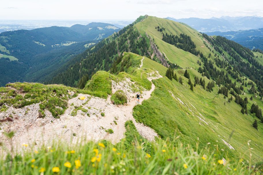 Traumhafter Gratweg zwischen Hochgrat und Rindalphorn