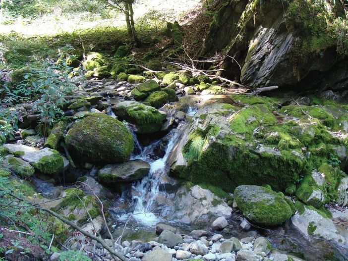 Bilder karl