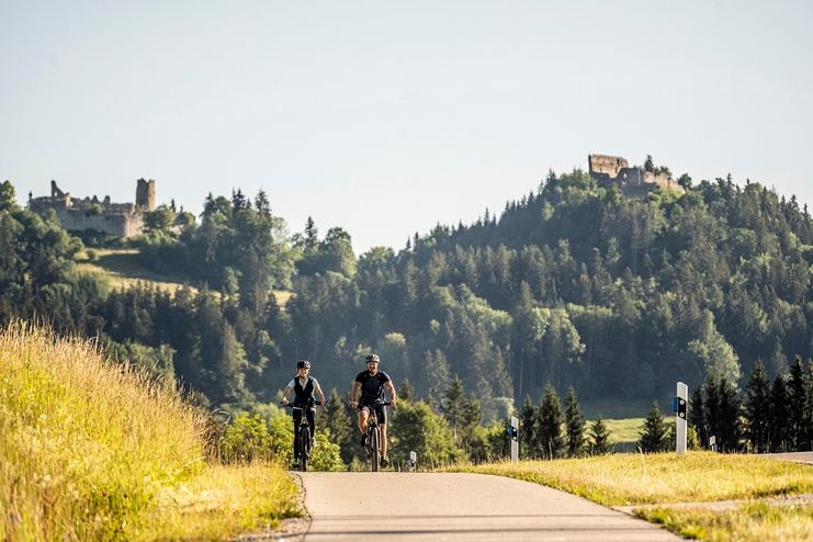 Im Hintergrund sind die Burgruinen Eisenberg und Hohenfreyberg zu erkennen.