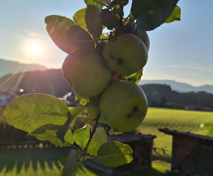 Reinbeißen und genießen