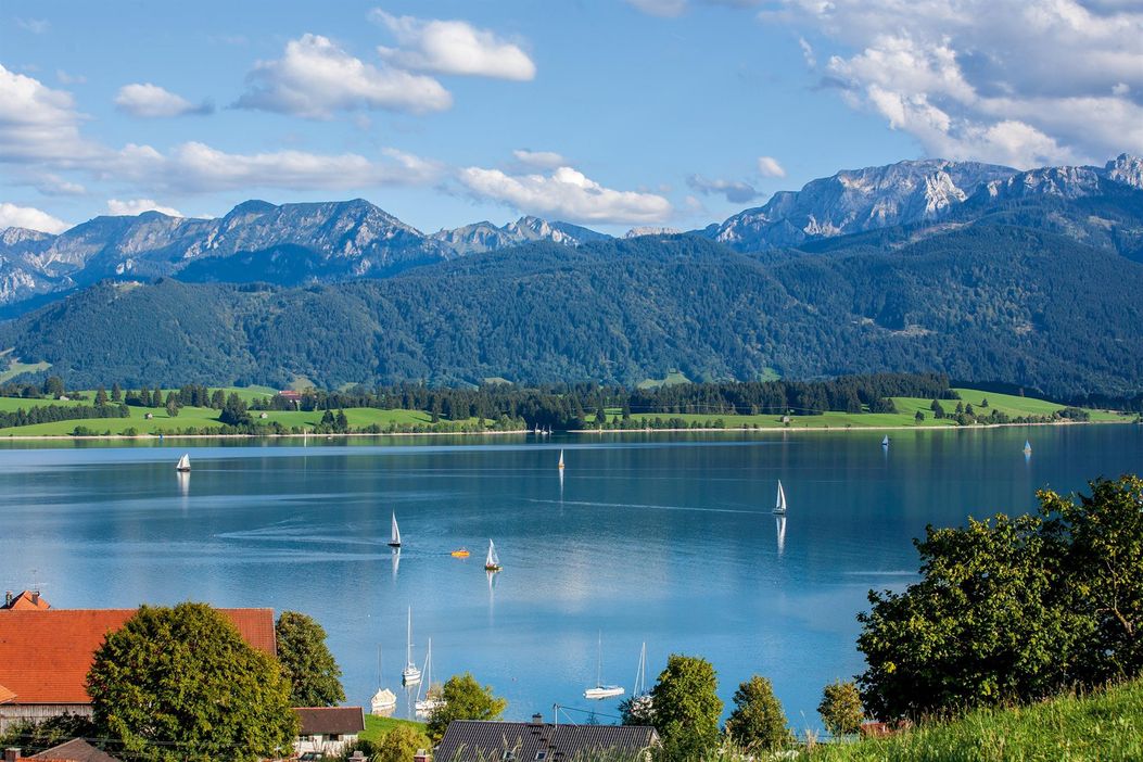 17449_K-17449_RIE_Forggensee_8890_1424095610_g