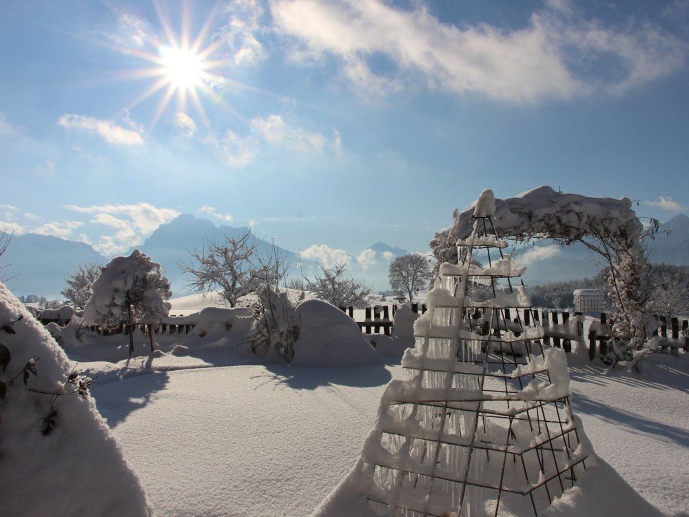 Winterwunderland um den Biohof Stöger