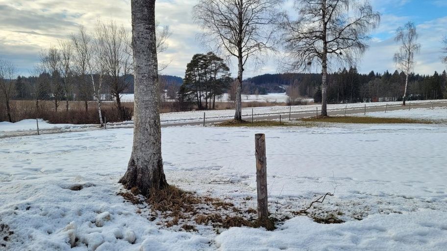 Wiesenweg zum Elbsee und zurück