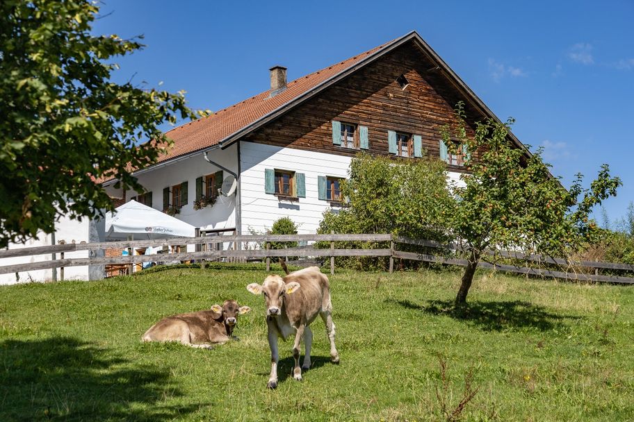 Die Alpe Kögelhof oberhalb des Kögelweihers