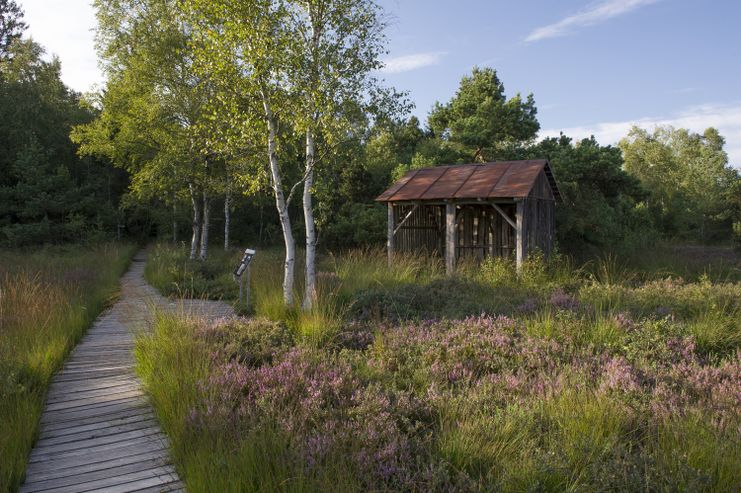 Bad-Wurzacher_Ried_1