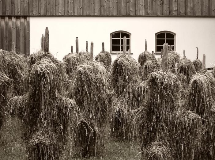 Heumänndle.U.Osterried.Röfleuten.7.Juli.2012