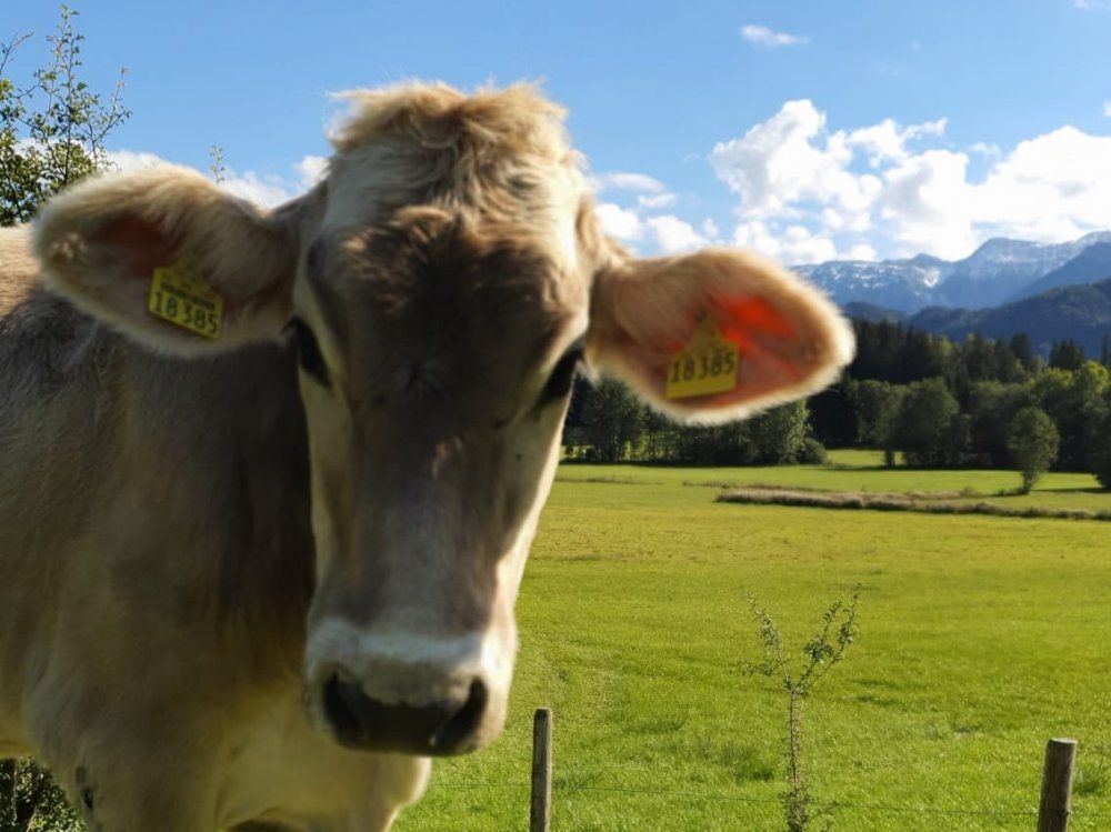 ca2b7d3e-9121-4414-a79c-af40d11e8cb7