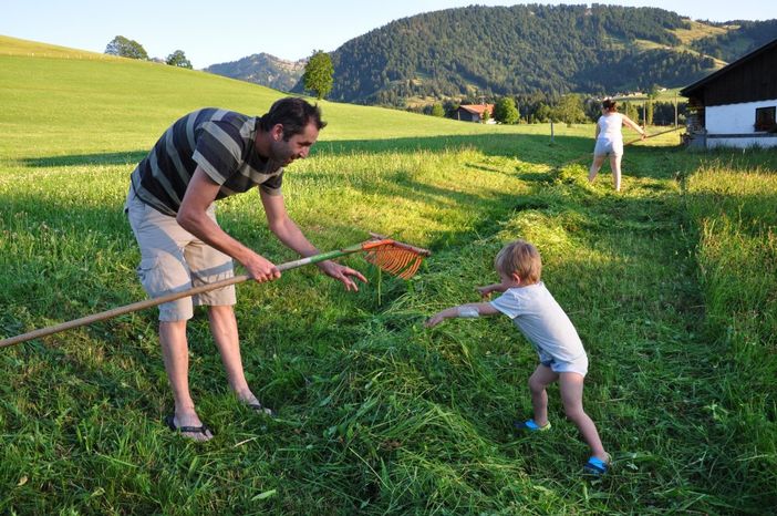 Heuernte - früh übt sich...