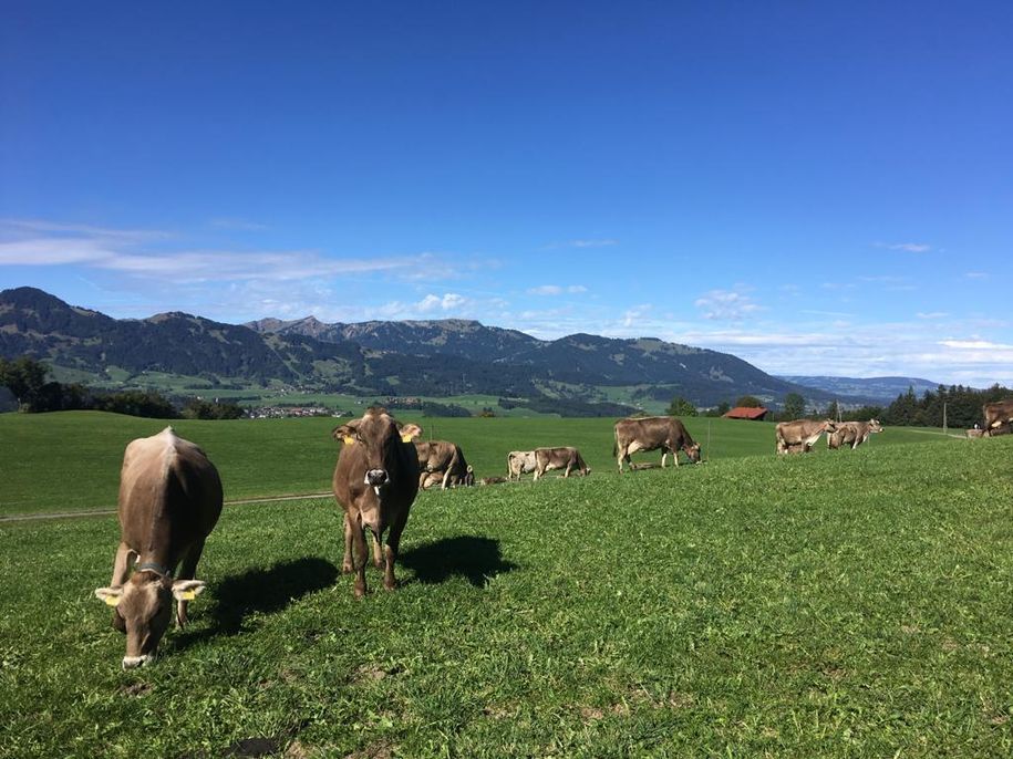 Sommer Ausblick ins Illertal