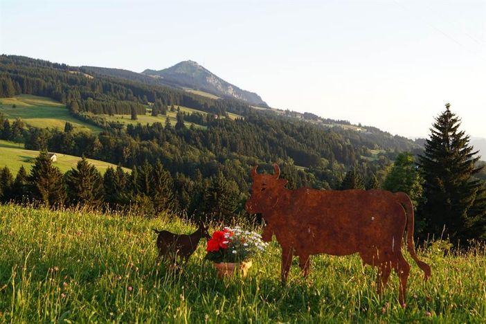 Blick auf den "Grünten"