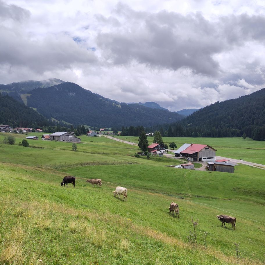 Balderschwang- Sich zit long Weg