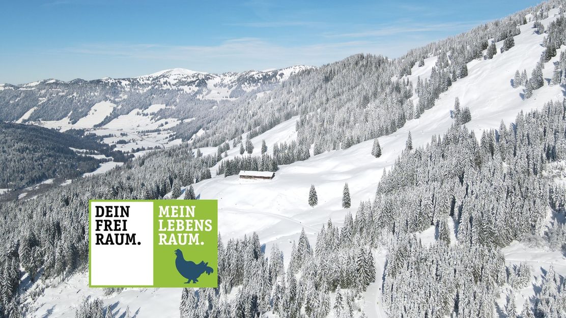 Winterwanderung zur oberen Mittelalpe