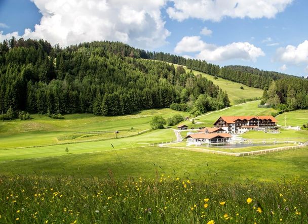 6981-06_06_2016-1_hoch_ret-komprimiert_1