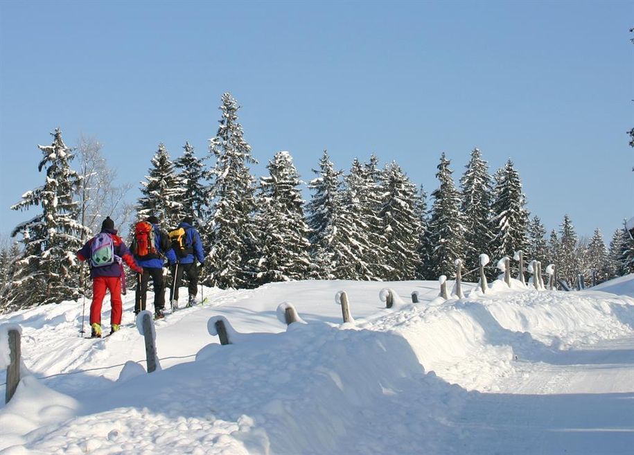 Schneeschuhwandern