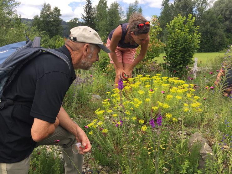 Artenkenner_Wildbiene_04-07-2020_JanineHeid (26)