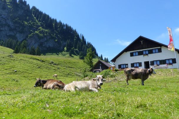 Alpwanderung in Obermaiselstein