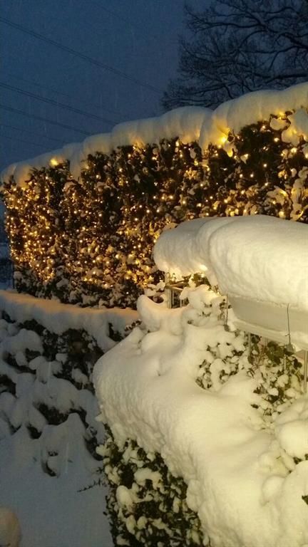 Ausblick vom Wohnzimmer und Kinderzimmer im Winter