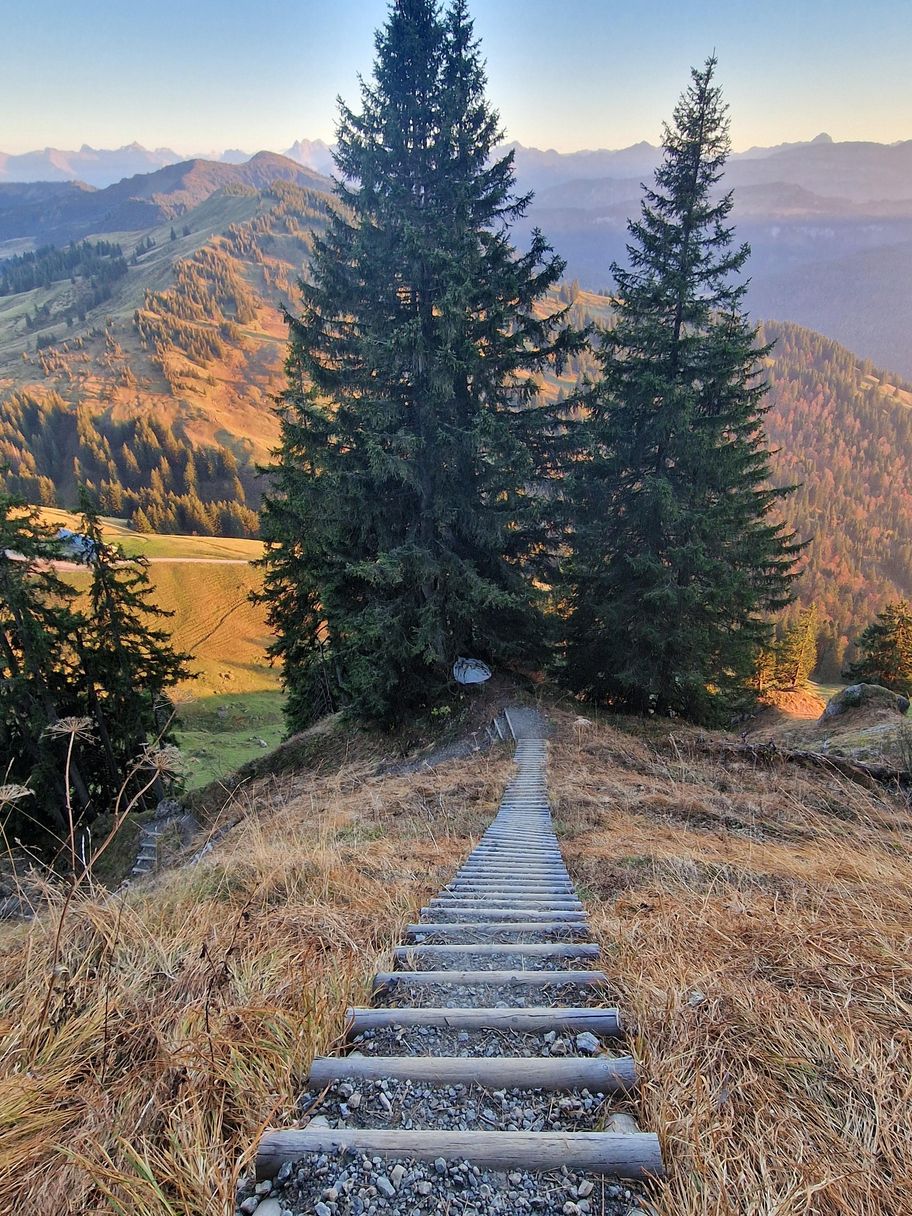 Von Gunzesried-Säge zum Siplingerkopf