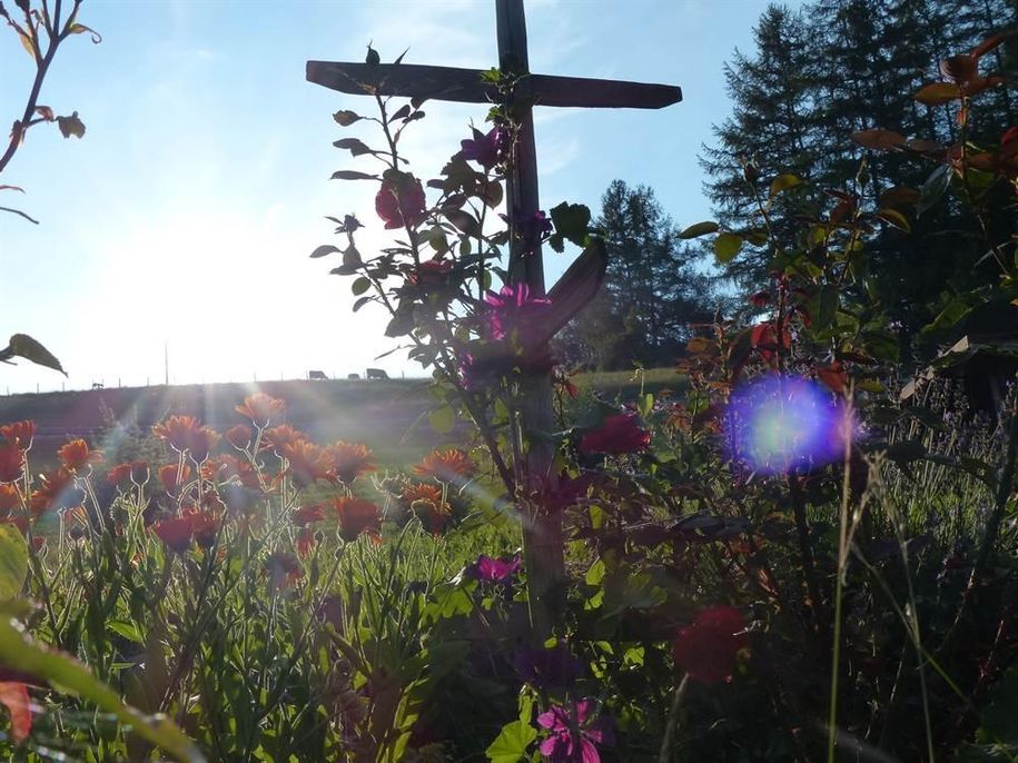 Impressionen
