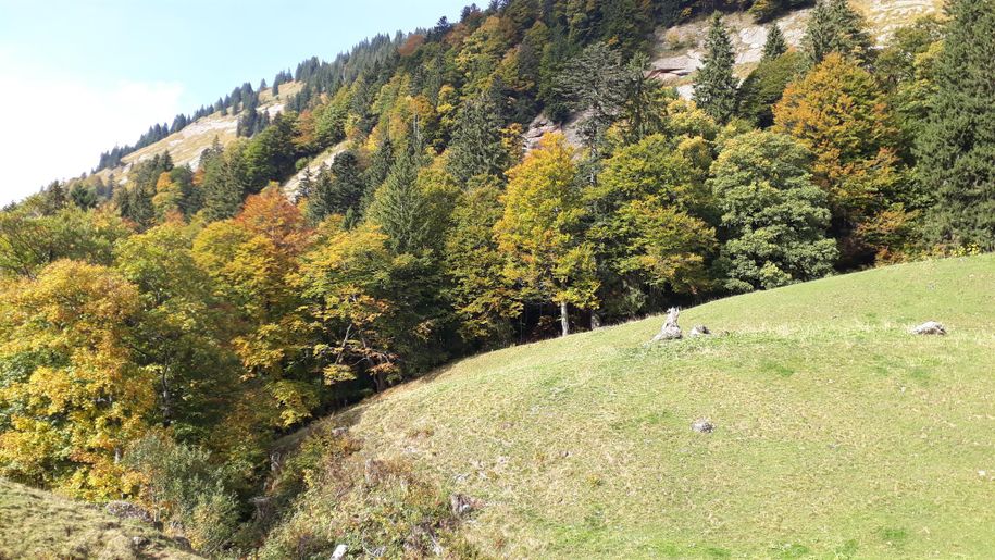 Richtung Österreich ins Lecknertal