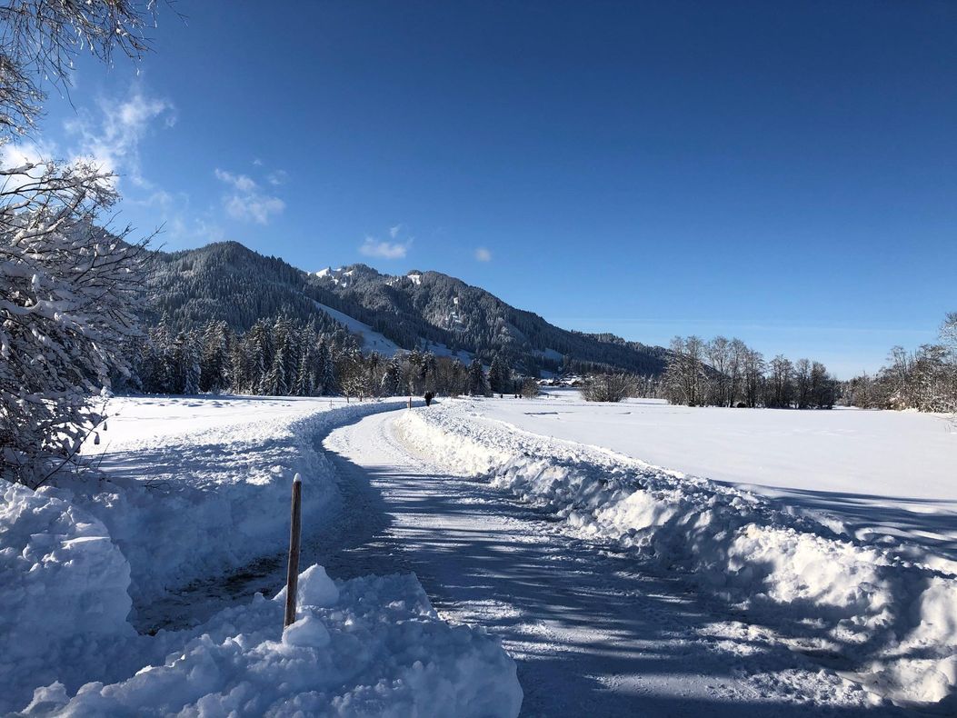 Märchenhafter Winterspaziergang