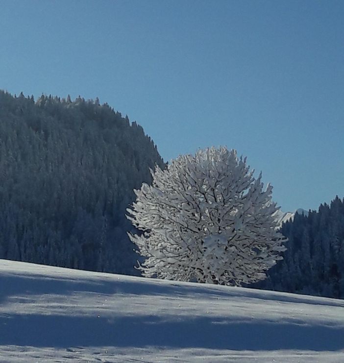 Winterbild2025