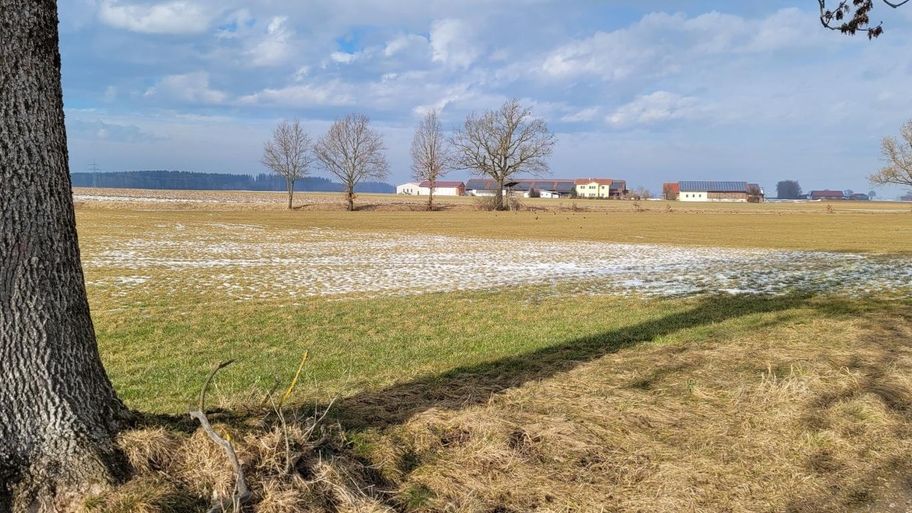 Stadtwaldrunde in Buchloe