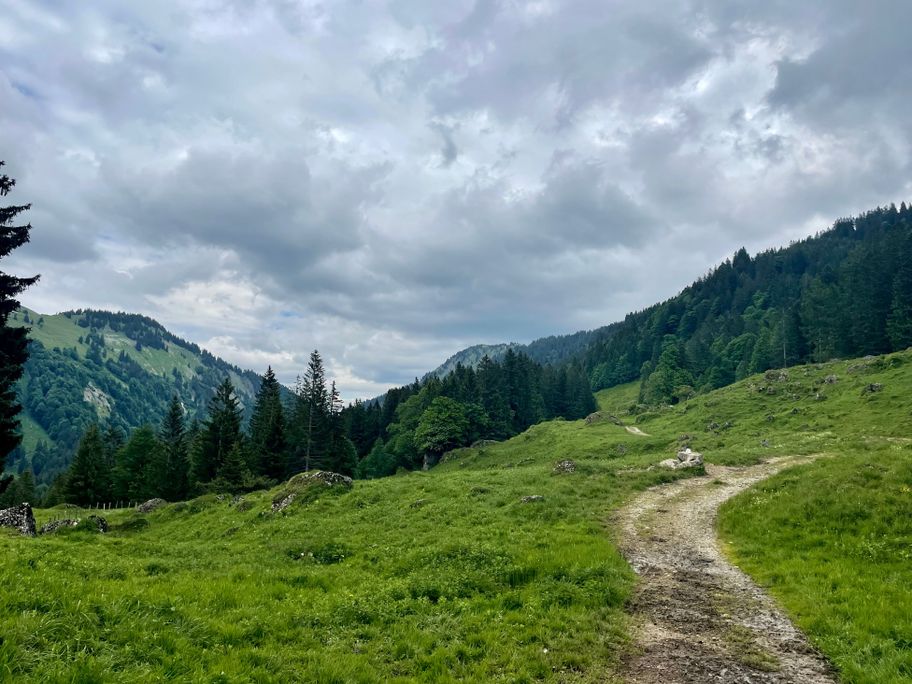 Forstweg im Lecknertal