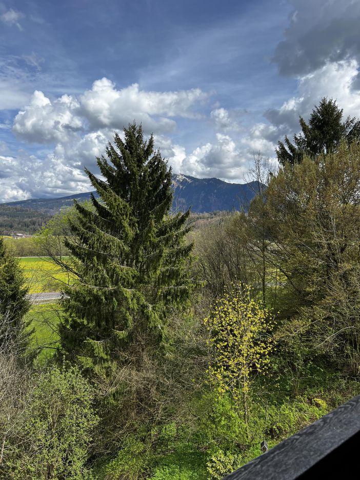 IMG-4357 (1)