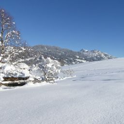 Bild 36