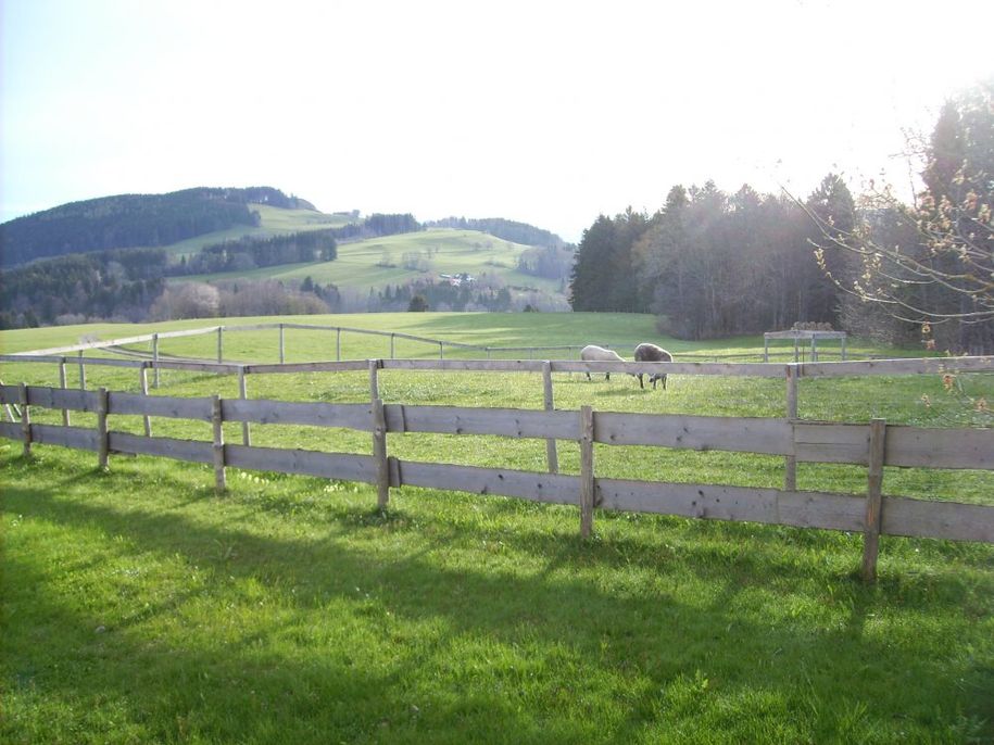 Blick vom Balkon