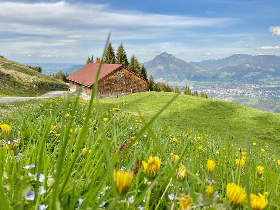 Ofterschwanger Horn - Rundwanderweg