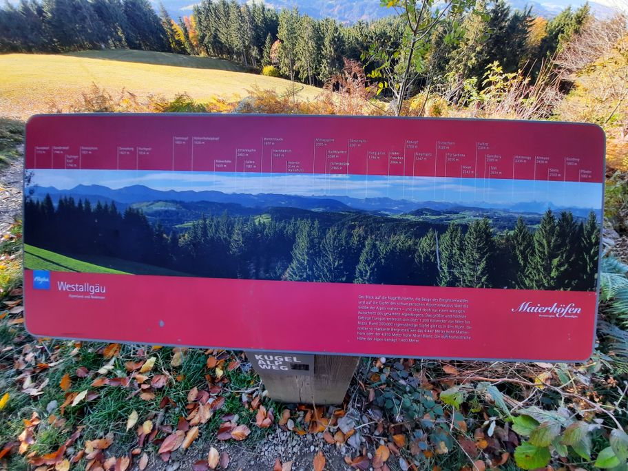 Riedholzer  Kugel Bergpanorama