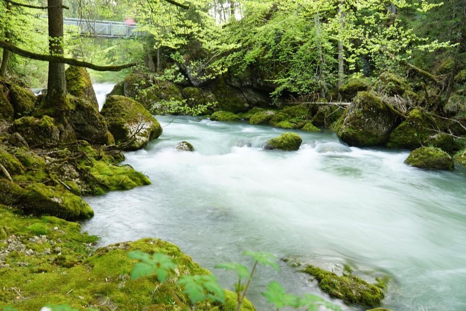 Im Haldertobel zwischen Blaichach und Gunzesried