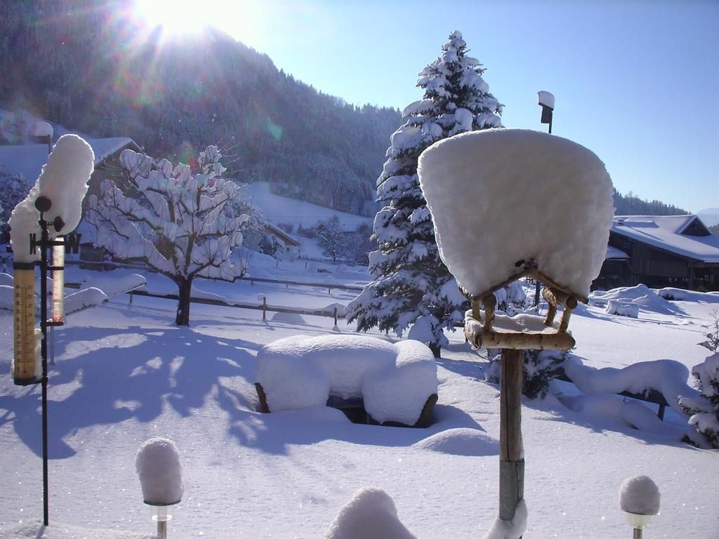 Winterbilder 12.12.2012 007