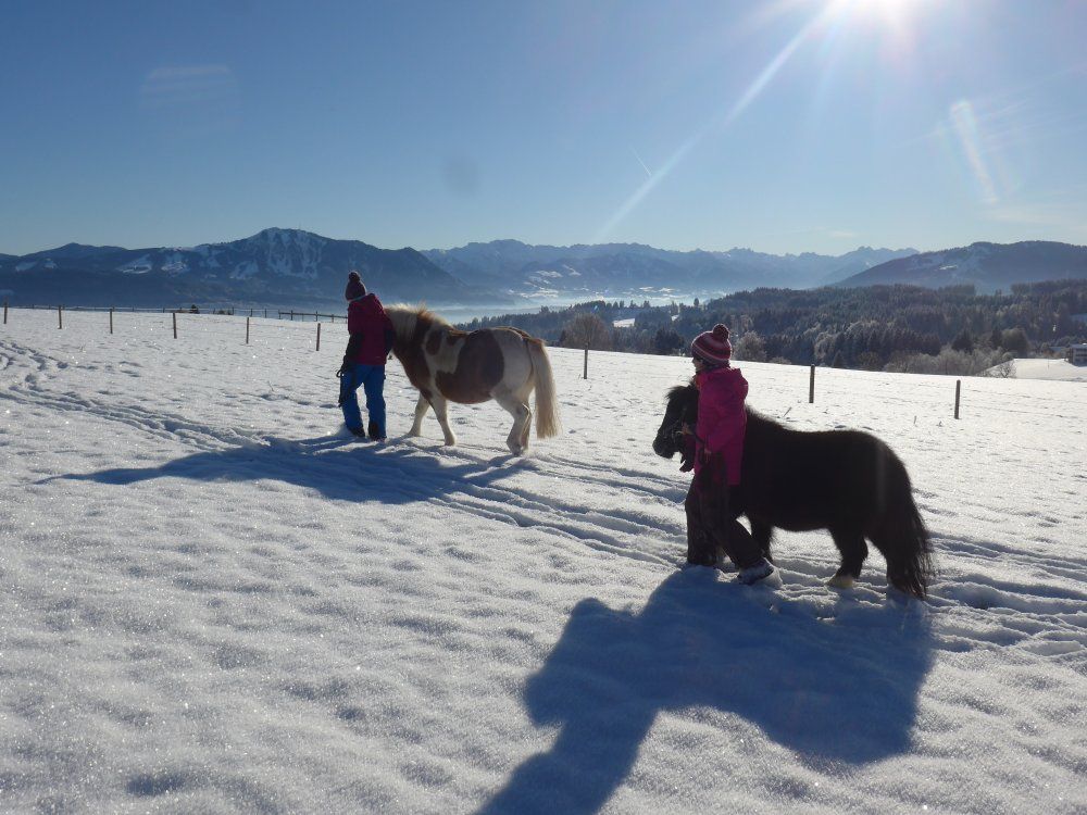 Spaziergang im Schnee
