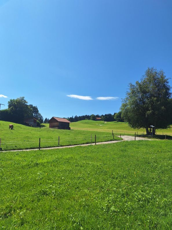 Ausblick von der Ferienwohnung