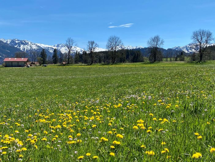 Blick vom Haus aufs Rubihorn