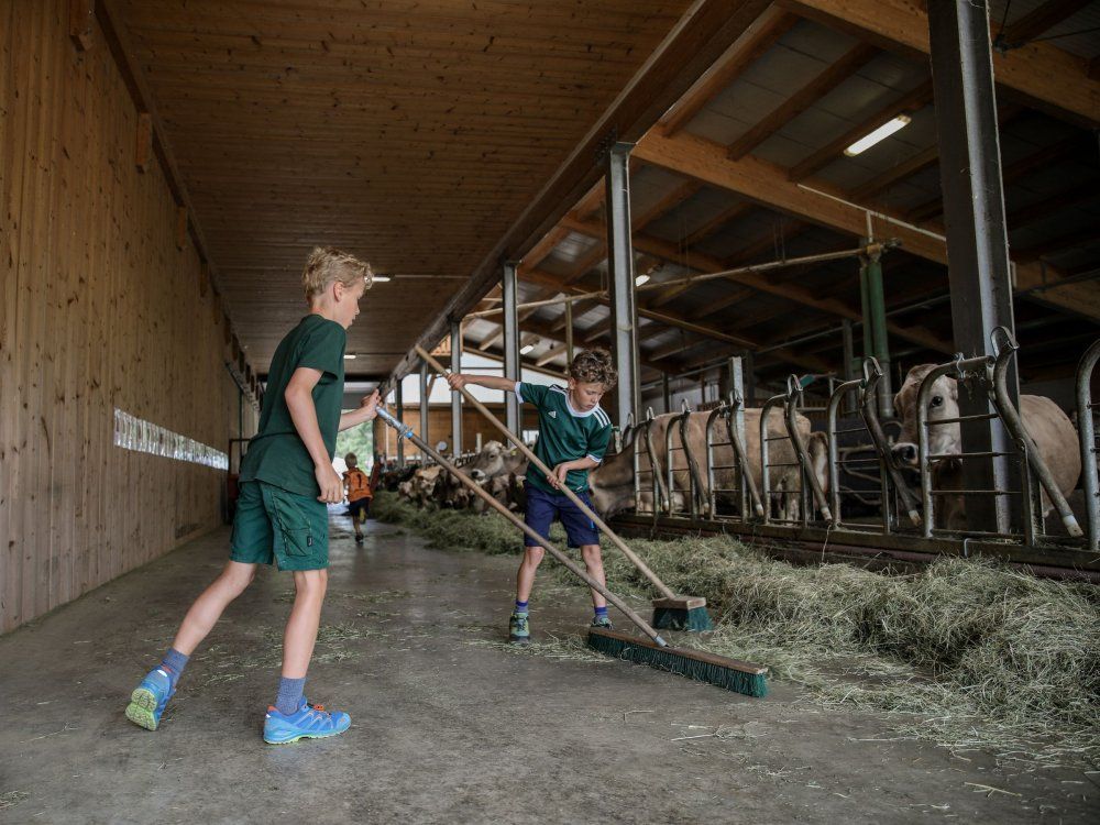 fleißige Helfer bei der Stallarbeit