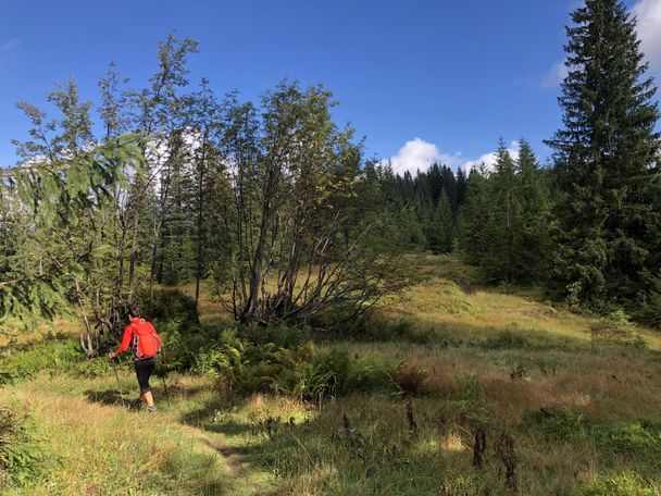 Himmelsstürmer Route der Wandertrilogie Allgäu - Etappe 14 - Balderschwang-Obermaiselstein/Grasgehren