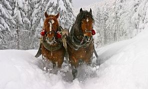 winter-links